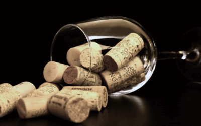 6 Fascinating Oldest Wineries in the World