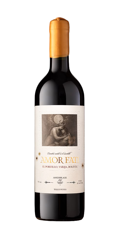 Amor Fati